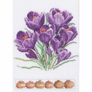 Crocus 444 lin Thea Gouverneur