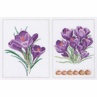 Crocus 444 lin Thea Gouverneur