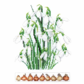 Galanthus 446 lin Thea Gouverneur