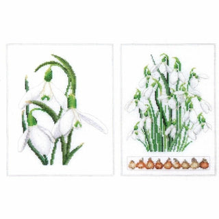 Galanthus 446 lin Thea Gouverneur
