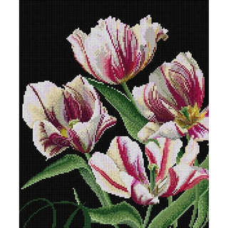 Thea Gouverneur 447-05 Rembrandt Tulipes