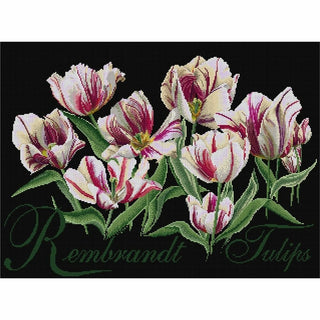 Thea Gouverneur 447-05 Rembrandt Tulipes