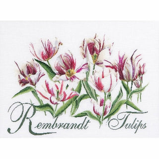 Thea Gouverneur 447 lin Rembrandt Tulipes