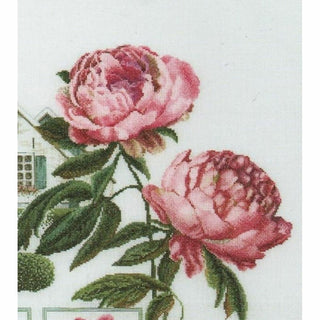 Farmer Peonies 448 lin Thea Gouverneur