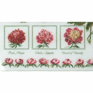 Farmer Peonies 448 aida Thea Gouverneur