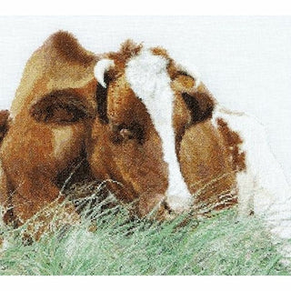 Vache rouge des prés 449 lin Thea Gouverneur