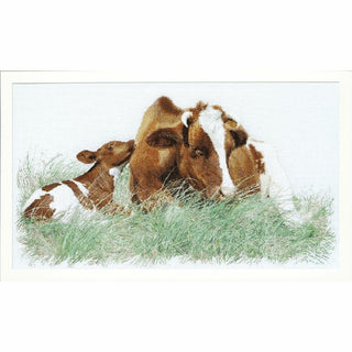 Vache rouge des prés 449 lin Thea Gouverneur