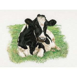 Vache Holstein 451 Aida Thea Gouverneur