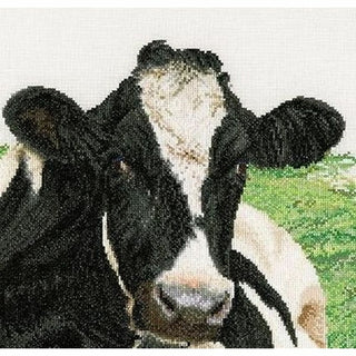Vache Holstein 451 Aida Thea Gouverneur