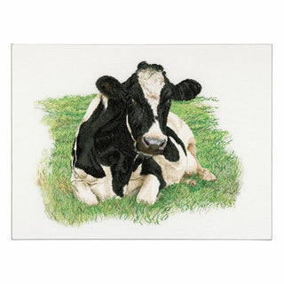 Vache Holstein 451 Aida Thea Gouverneur