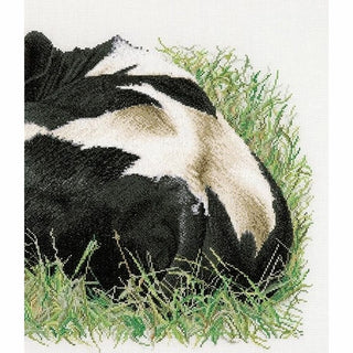 Vache Holstein 452 lin Thea Gouverneur