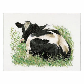 Vache Holstein 452 Aida Thea Gouverneur