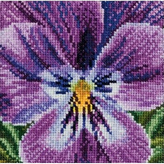 Pensée nuances de lilas 456 Aida Thea Gouverneur