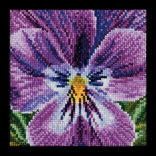 Pensée nuances de lilas 456 Aida Thea Gouverneur