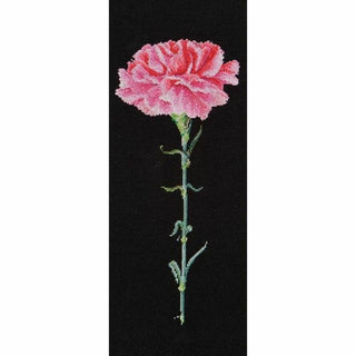 Oeillet rose Carnation pink 467-05 Thea Gouverneur