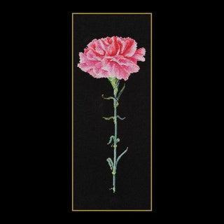 Oeillet rose Carnation pink 467-05 Thea Gouverneur