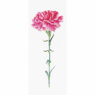 Oeillet rose Carnation pink 467 lin Thea Gouverneur