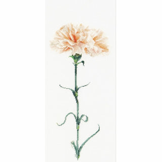 Carnation peach 468 lin Thea Gouverneur