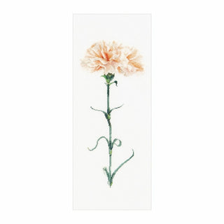 Carnation peach 468 lin Thea Gouverneur