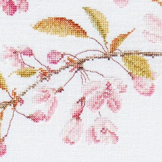 Thea Gouverneur 481 Aida Prunus