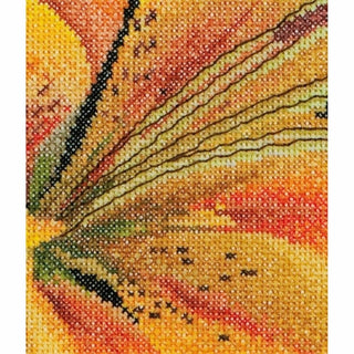 Lys 486 Aida Thea Gouverneur