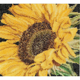 Thea Gouverneur 488 Aida Sunflower Tournesol