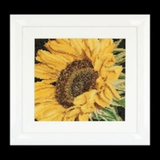 Thea Gouverneur 488 Aida Sunflower Tournesol