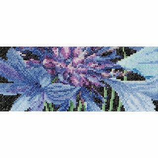 Fleur de Bleuet 489 Aida Thea Gouverneur