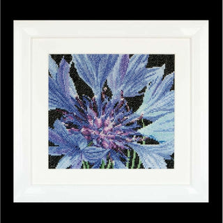Fleur de Bleuet 489 Aida Thea Gouverneur