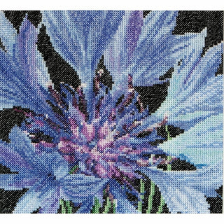 Fleur de Bleuet 489 Aida Thea Gouverneur