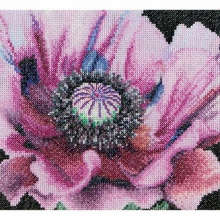 Coquelicot Poppy 491 Aida Thea Gouverneur