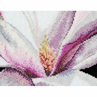Magnolia 495 Aida Thea Gouverneur