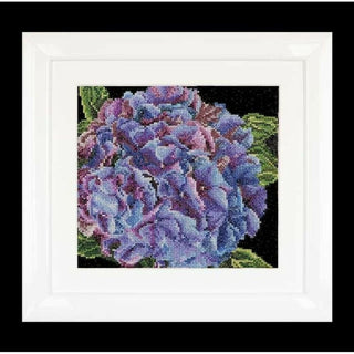 Thea Gouverneur 497 Aida Hydrangea