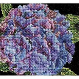 Thea Gouverneur 497 Aida Hydrangea