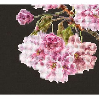 Prunus 512-05 Thea Gouverneur