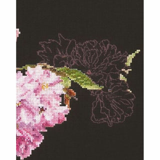 Prunus 512-05 Thea Gouverneur