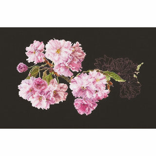 Prunus 512-05 Thea Gouverneur