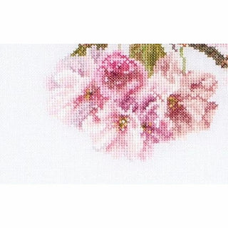 Thea Gouverneur 512 lin Prunus