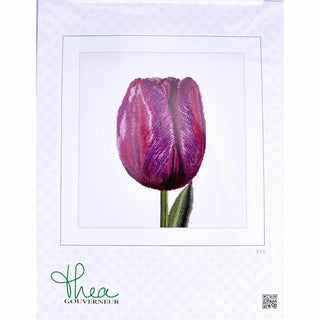 Tulipe violette 514 Aida Thea Gouverneur
