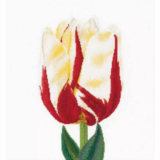 Thea Gouverneur 516 Aida Tulipe kit point croix