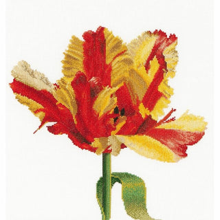 Thea Gouverneur 519 lin Tulipe Perroquet