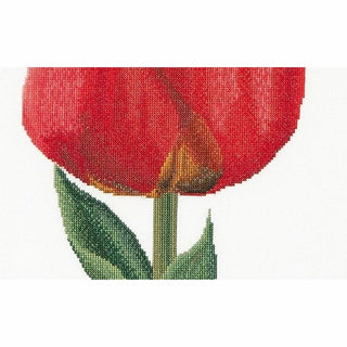 Thea Gouverneur 521 lin Tulipe