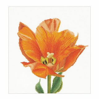 Tulipe orange 523 lin Thea Gouverneur