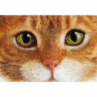 Chats Tiger et Kitty 540 Aida Thea Gouverneur