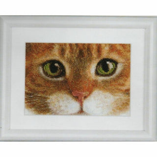 Chats Tiger et Kitty 540 Aida Thea Gouverneur