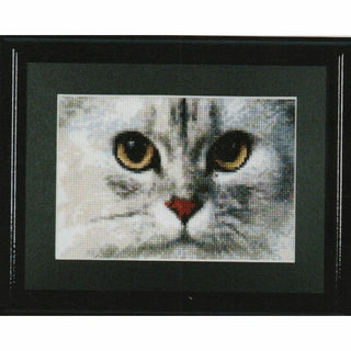 Chats Tiger et Kitty 540 Aida Thea Gouverneur