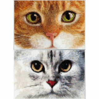 Chats Tiger et Kitty 540 Aida Thea Gouverneur