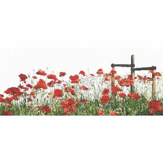 Coquelicots Poppies 546 Aida Thea Gouverneur