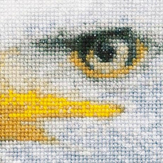Aigle Américain 550 Aida Thea Gouverneur