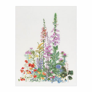Fleurs sauvages Américaine 554 lin Thea Gouverneur